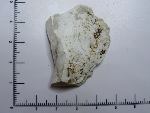 Fossiliferous chert utilised/Retouched flake: approx.  20,000+ years