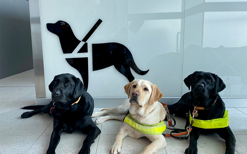 Service animal dogs in the SARA facility