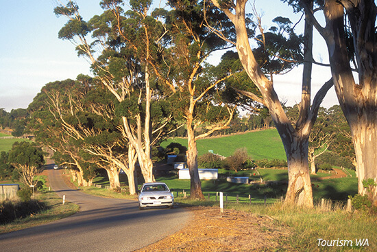 Country driving in rual Denmark, Western Australia