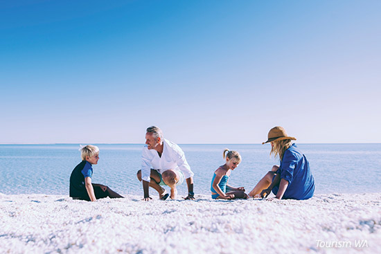 Shell Beach Conservation Park, south east of Denham Western Australia