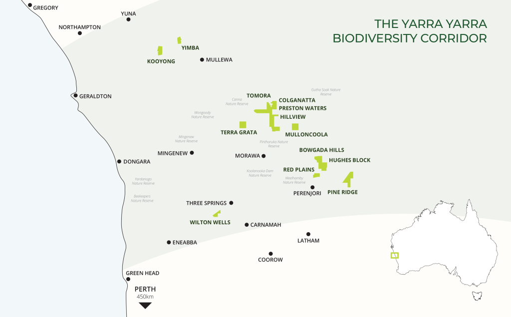 Yarra Yarra Biodiversity Corridor