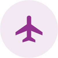 Flight Icon